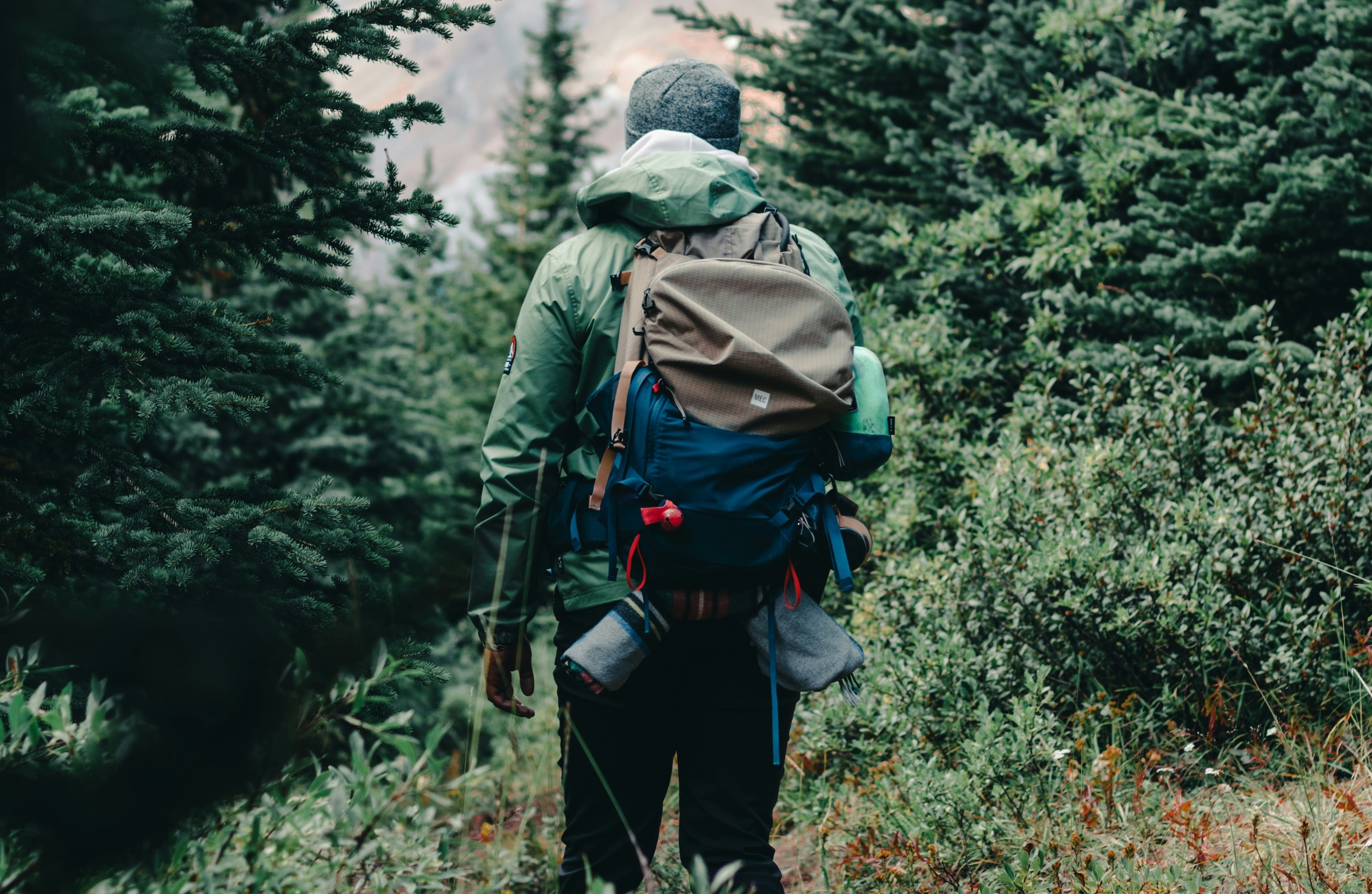 A hiker carrying a loaded pack on a trail through mountain evergreens