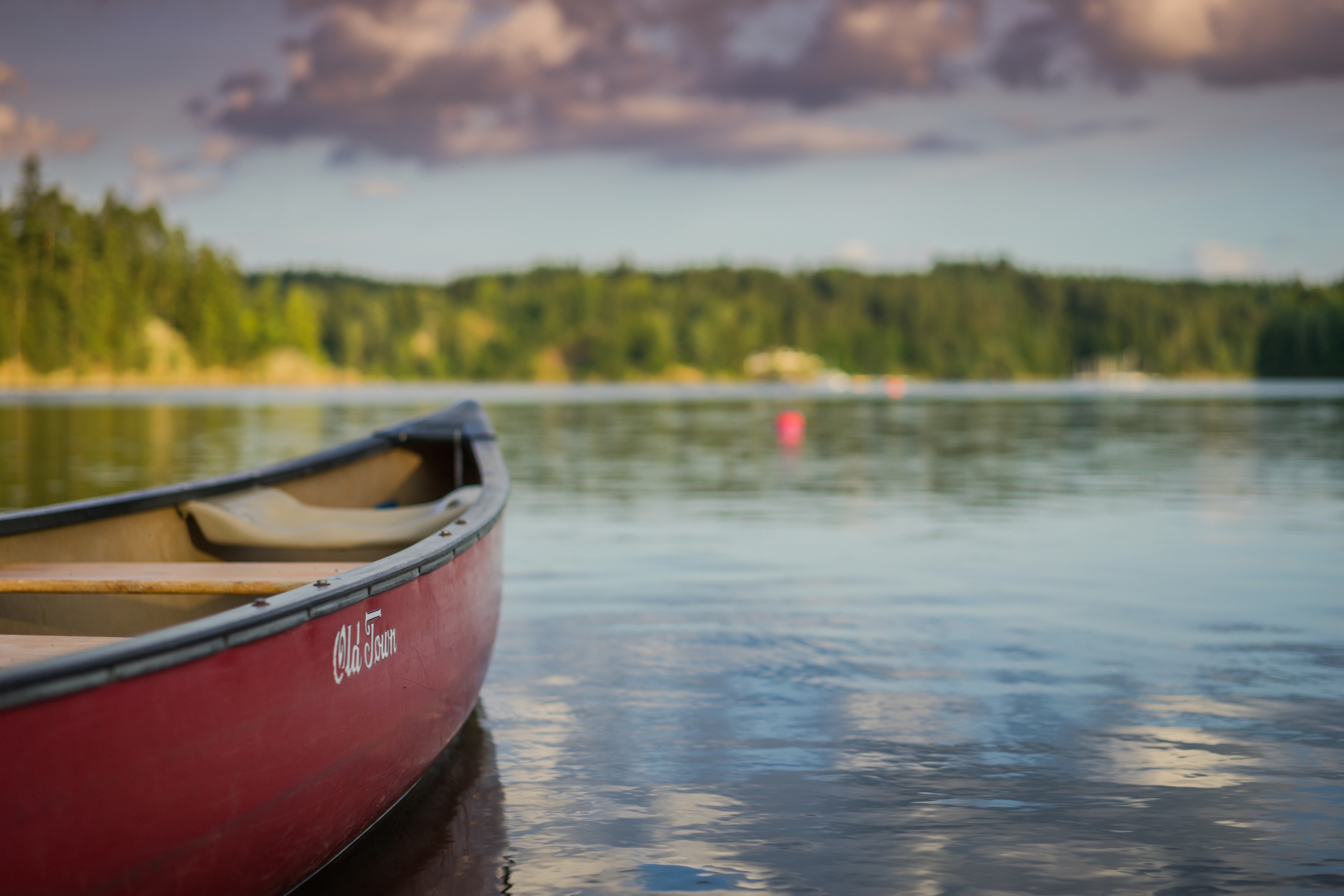 A red canoe resting on calm water at the edge of a forested lake