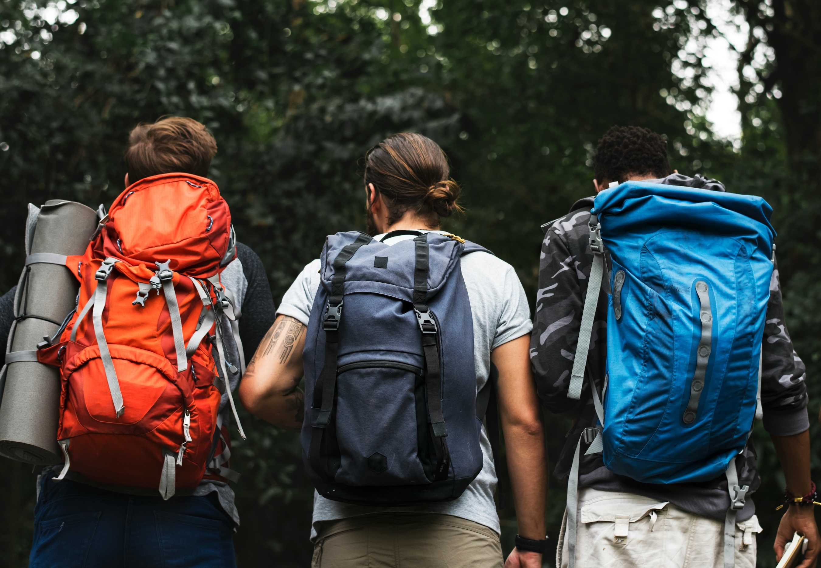 Three people walking into the woods with loaded backpacks